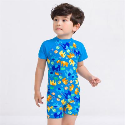 China Blue Short Sleeve Elephant Beach Wear Kids Size Swimsuit Little Boys Cartoon One Piece Swimwear More Pattern for sale