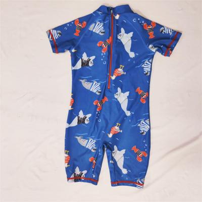 China Plus Size 3-10t Custom Made Cover Up One Piece Swimsuit Cartoon Seal and Duck Pattern Kids Boy Blue Zipper Up Swimwear for sale