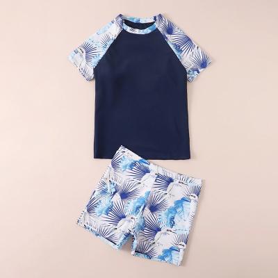 China Plus Size 2 Pieces Trunks Boys Quick-Drying Swimwear Top And Kids Short Sleeve Swimsuit Kids for sale