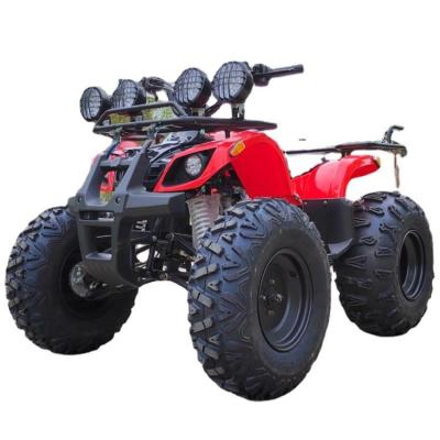 China 125cc ATV Offroad Motorcycle Mountain SUV Snow Sled Offroad Custom for sale