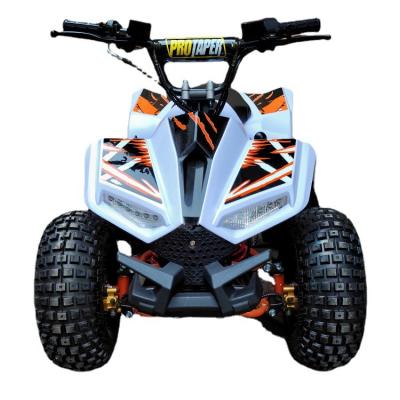 China 125CCBeach ATVAll-Terrain Motorcycle Snowmobile Off-Road Adult and Kids Four-Wheel Square Toy Car Custom for sale