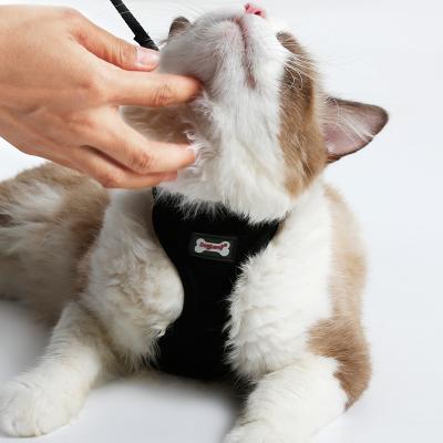 China Doglemi Cat Products Mesh Adjustable Cat Viable Breathable Harness for sale