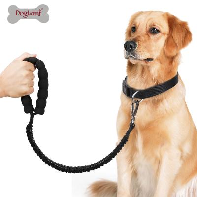 China Bungee Pet Leash Lead Dog Collar Viable Dog Leash Large Bungee Elastic Pet Pad DogLemi Leash for sale