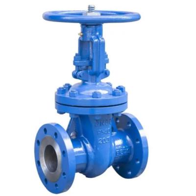 China General Rising Stem Wcbgate Valve DIN Pn10 Pn16 Pn25 Pn40 Pn64 Pn100 for sale