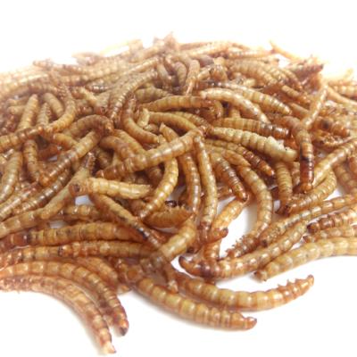 China RM Yellow Dried Meal Worm 100g Sustainable Natural Flavor MWB-100 for sale