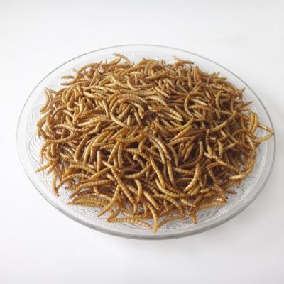 China Bulk Premium Dried Meal Worm Yellow Natural Flavor MWB-10000 Sustainable for sale