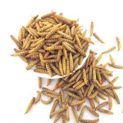 China Bulk Top Quality Dried Black Soldier Fly Larvae For Chicken Poultry Feed for sale