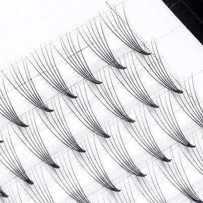 China Lightweight International Quality Premium Silk 3D Lashes Pre Made Fans Eyelash Extension Various Sizes Volume Handmade Lashes for sale