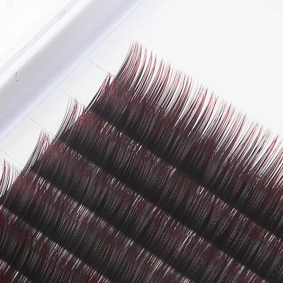 China Light Make Your Own Brand Volume Lash Individual Eyelash Extensions Premade Fanned Lahes With Great Price for sale