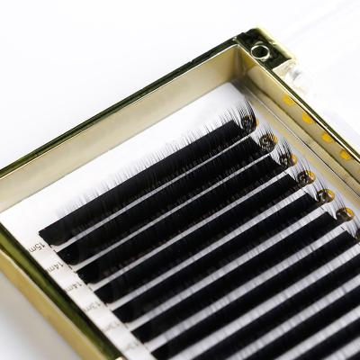 China Light top selling our brand false eye lashes eyelash extension with high quality for sale