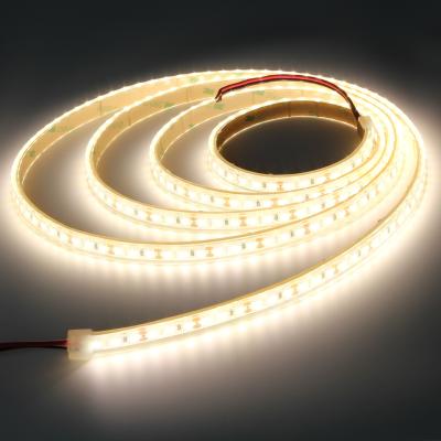 China LANDSCAPE Shenzhen factory led strip 3014 cool white 120leds 240 LEDs for sale