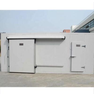 China Hotels Pneumatic Equalizing Valve Sliding Handmade Sandwich Panel Cold Storage Door For Fruit And Vegetable Cold Room Door for sale