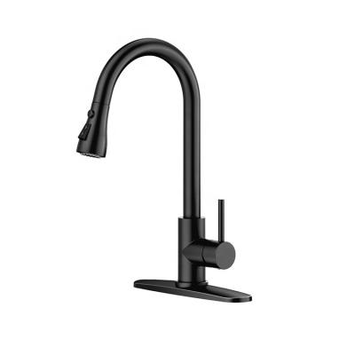 China Others LVTIAN APS247 Matte Black 304 Stainless Steel Kitchen Faucets With Pull Out Spout for sale