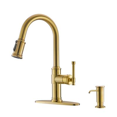 China Other Favorable Price Hot Selling Classic Gold Kitchen Faucet Pull Out for sale