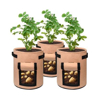 China High Quality Eco - Friendly Aeration Fabric Pots Felt Green Vegetable Grow Bags Felt Grow Bags for sale