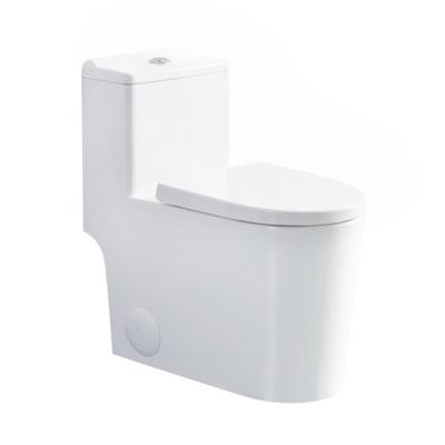 China American Standard Toilet Suite cUPC Double-Flow Toilet Siphonic Bathroom One-Piece Toilet Rough-in for sale