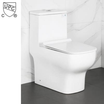 China American Bathroom Double-flush cUPC Single Piece Toilet Rough-in Ceramic UPC Toilet for sale