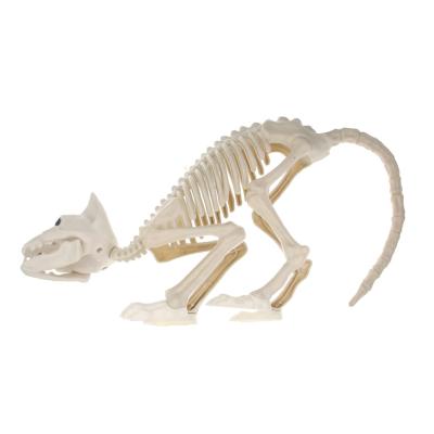 China Pp pp Halloween ornaments Cat Skeleton Plastic Movable Figurine for sale