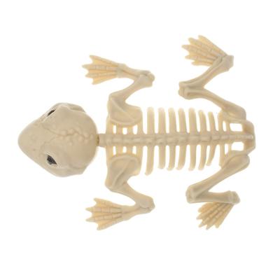 China New Halloween PP Decoration Skeleton Frog Skeleton Animal Skeleton for sale