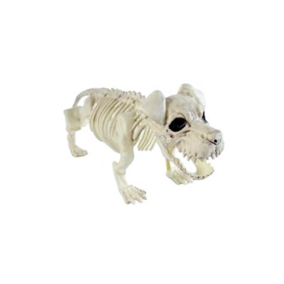 China Best Selling PP Dog Skeleton Creepy Small Size Amazon Halloween Skeleton for sale