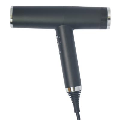 China Private Label Ionic Brushless Blow Dryers Ionic Professional Lightweight Hair Dryer for sale