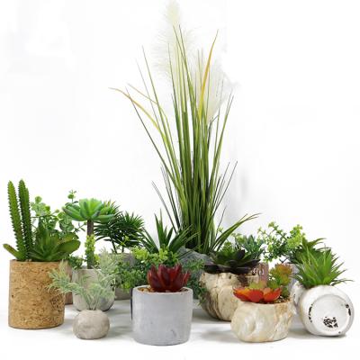 China Indoor Artificial Plant Ornaments Contemporary Cheap Artificial Succulent Bonsai Plants Green Small Plants for sale