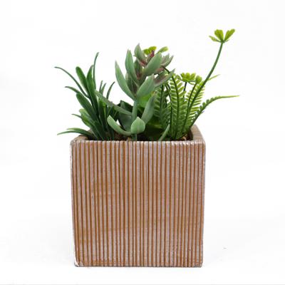 China Simulation Succulents Contemporary Ornaments Competitive Price Decoration Desktop Ornaments for sale