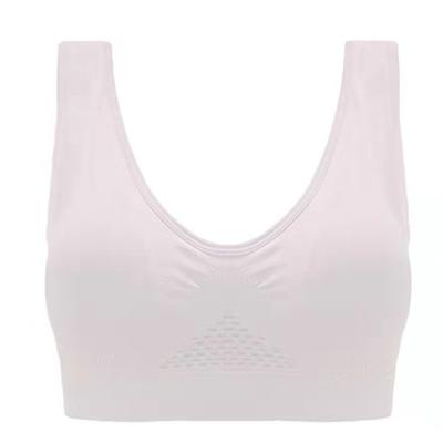 China 2021 New Hot Selling Sexy Mesh Wireless Bra Sport Bra Breathable Yoga Breathable Running Bras For Women for sale