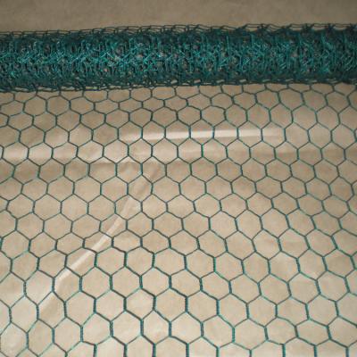 China Cages Hexagonal Wire Mesh /Chicken Wire / Poultry Nets for sale