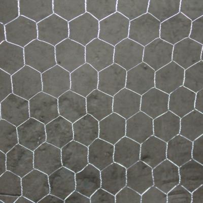 China Cages hexagonal wire mesh /chicken wire / hexagonal wire netting / poultry mesh for sale