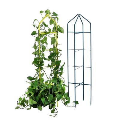 China Free Shipping Modern A Set Of Two Garden Metal Plant Support Climbing Stakes On Sale for sale