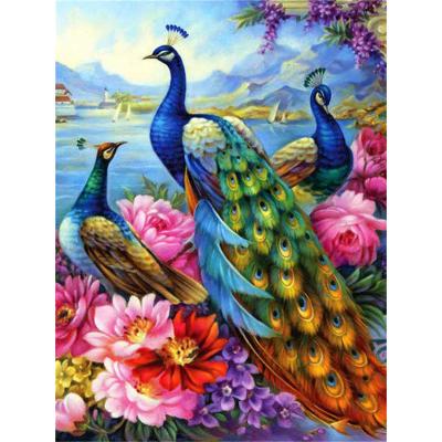 China Europe 5D DIY Peacock Diamond painting Animal Painting wall canvas art painting for home decor full drill cross stitch Diamond kits for sale