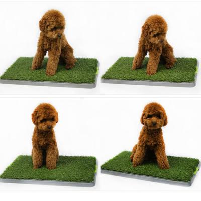 China Viable Easy Clean Dog Toilet Breeding Plastic Grass Mat Curly And Upright Pet Artificial Grass for sale