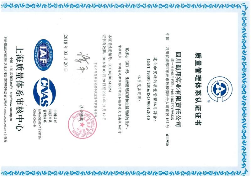 ISO9001 - Sichuan True Nature Workshop Paper Co., Ltd.