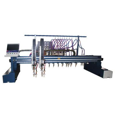 China 3150*8000mm Multiple Flame Cutting Machine Strip Gas Cutting Machine for sale