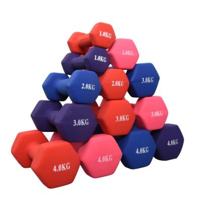 China Hex Iron Dumbbell Hand Weights Vinyl Coated Exercise And Fitness Dumbbell For Home Gym Equipment For Women, Men for sale