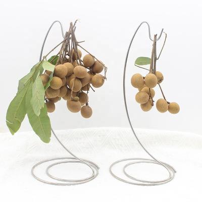 China Modern Sustainable Banana Fruit Grape Banana Hanger Tree Stand Hook For Kitchen Countertop for sale