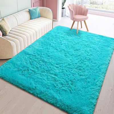 China Washable Modern Colorful Home Style Customize Design Living Room Blanket Hand Tufted Rug for sale