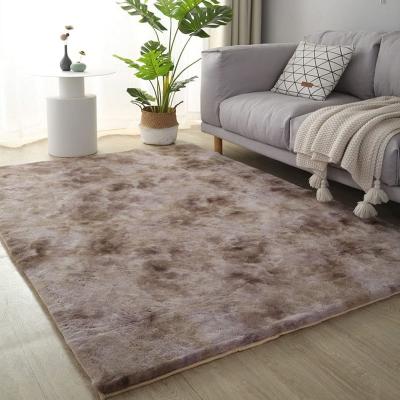 China Custom Home Shaggy Rug Wall To Wall Cozy Blanket Washable Carpets For Living Room for sale