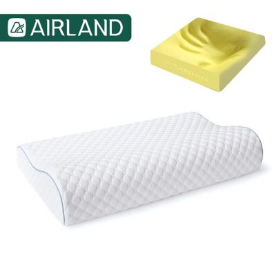 China New Slow Wholesale Airland Memory Memory Amazon Memory Pillow Core Neck Pillow Gift Bound Pillow for sale