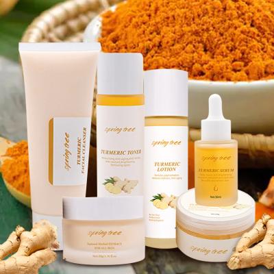 China Personal Beauty Care Set Turmeric Organic Anti Aging Skin Care Set Anti Acne Whitening Turmeric Face Care Set for sale