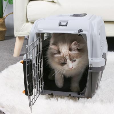 China Fashion Living Goods Cat Dog Travel Box Pet Collapsible Collapsible Carrier Tote Bag for sale