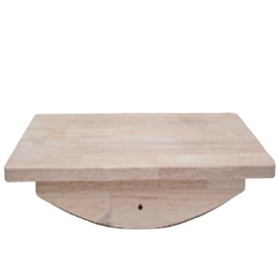 China Balancing Trainer Training - Trainer Wooden Balance Board Balancing Board for sale