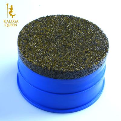 China Malossal fresh caviar of 1.2kg Imperial Kaluga for sale