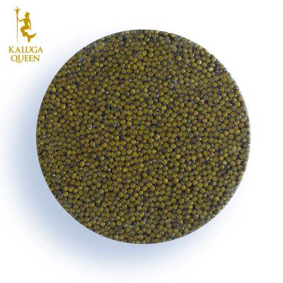 China Malossal fresh red caviar from Imperial Kaluga by caviar maker for sale