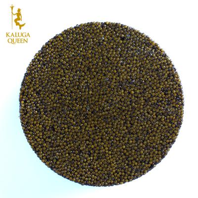 China Fresh KalugaQueen Customized Hybrid High Grade Sturgeon Caviar Grown in Qiandao Lake for sale