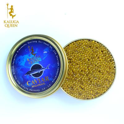 China Fresh High Grade Gold KalugaQueen Hybrid Cream Sturgeon Fish Caviar for sale