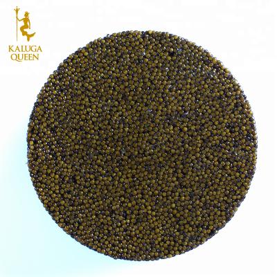 China Fresh hot sale special grade almas caviar made by sturgeon fish seeds for sale