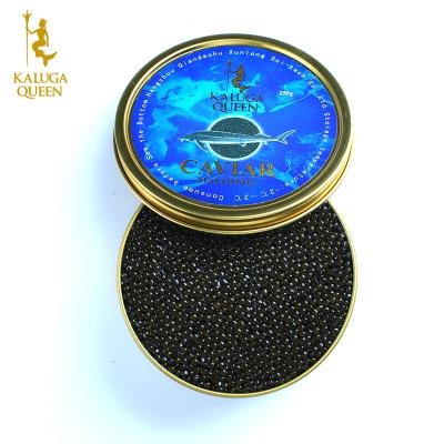 China Fresh HCCP Authentication Light-Salty Farm Raised Black Sturgeon Caviar Finest Caviar Canada for sale