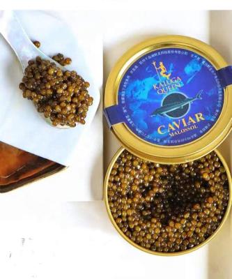 China Fresh china caviar factory sell Osetra canned roe different types Russian caviar karat caviar for sale